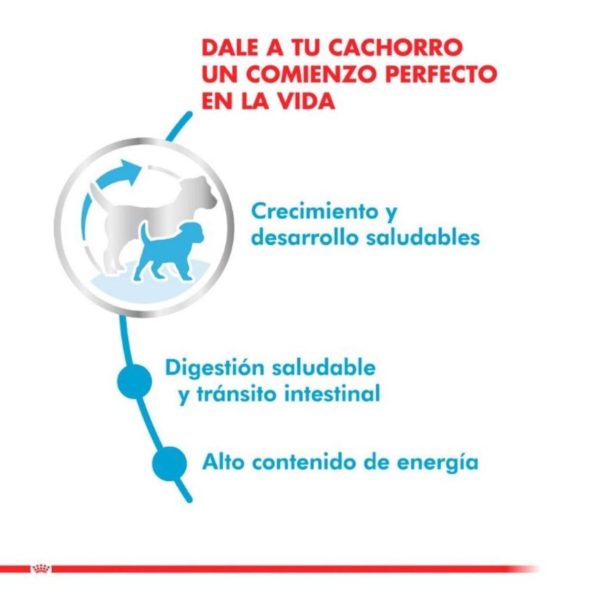 ROYAL CANIN - Royal Canin X-small Puppy 1 Kg.