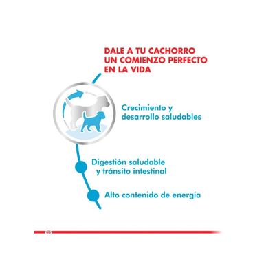 Imagen 2 del producto X-small Puppy 1 Kg.