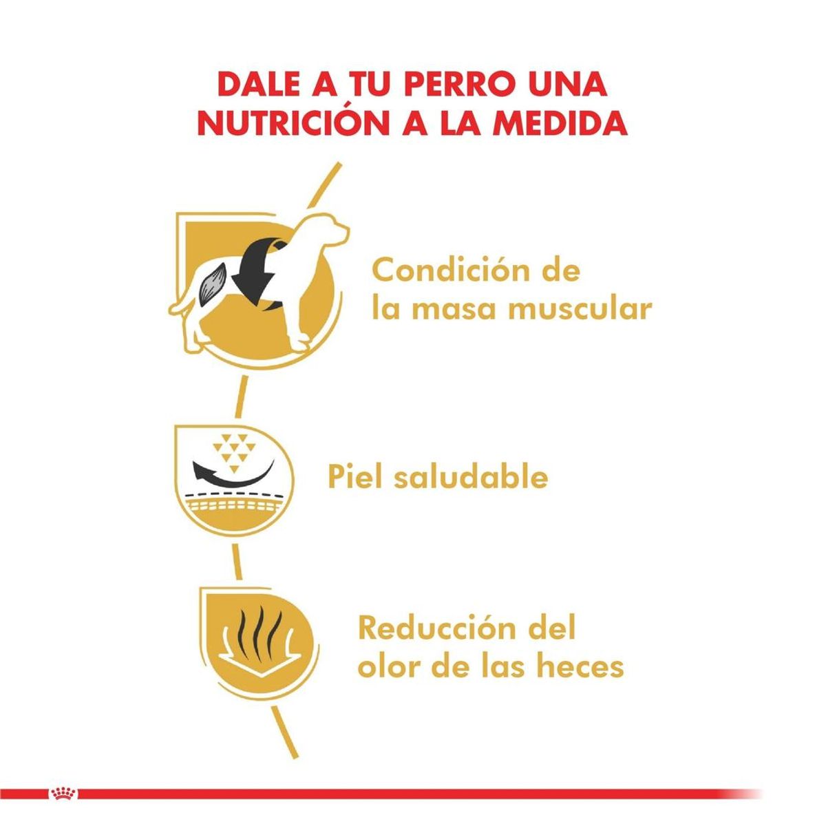 ROYAL CANIN - Alimento Royal Canin Bulldog Francés Para Perro Adulto 3kg