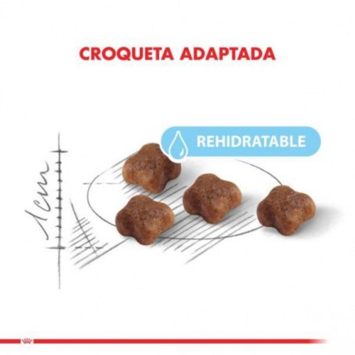 ROYAL CANIN - Royal Canin Alimento Para Gatito Mother And Babycat 1.5 Kg