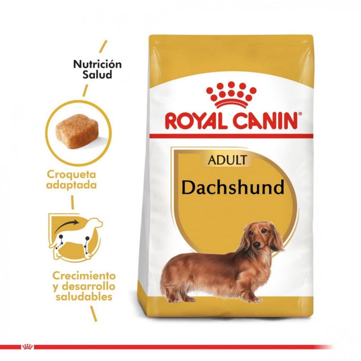 ROYAL CANIN - Alimento Royal Canin Breed Health Nutrition Dachshund 2,5 kg