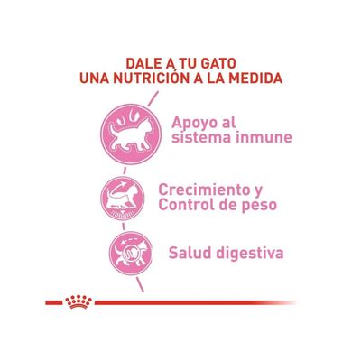 Imagen 2 del producto Alimento Feline Kitten Sterilised 4kg