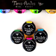 GENERICO - Miel Premium 4 Pack (180g) - Montaña, Ulmo, Quillay, H. Azul