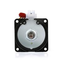 Motor spiedo 60 kg doble potencia 28w