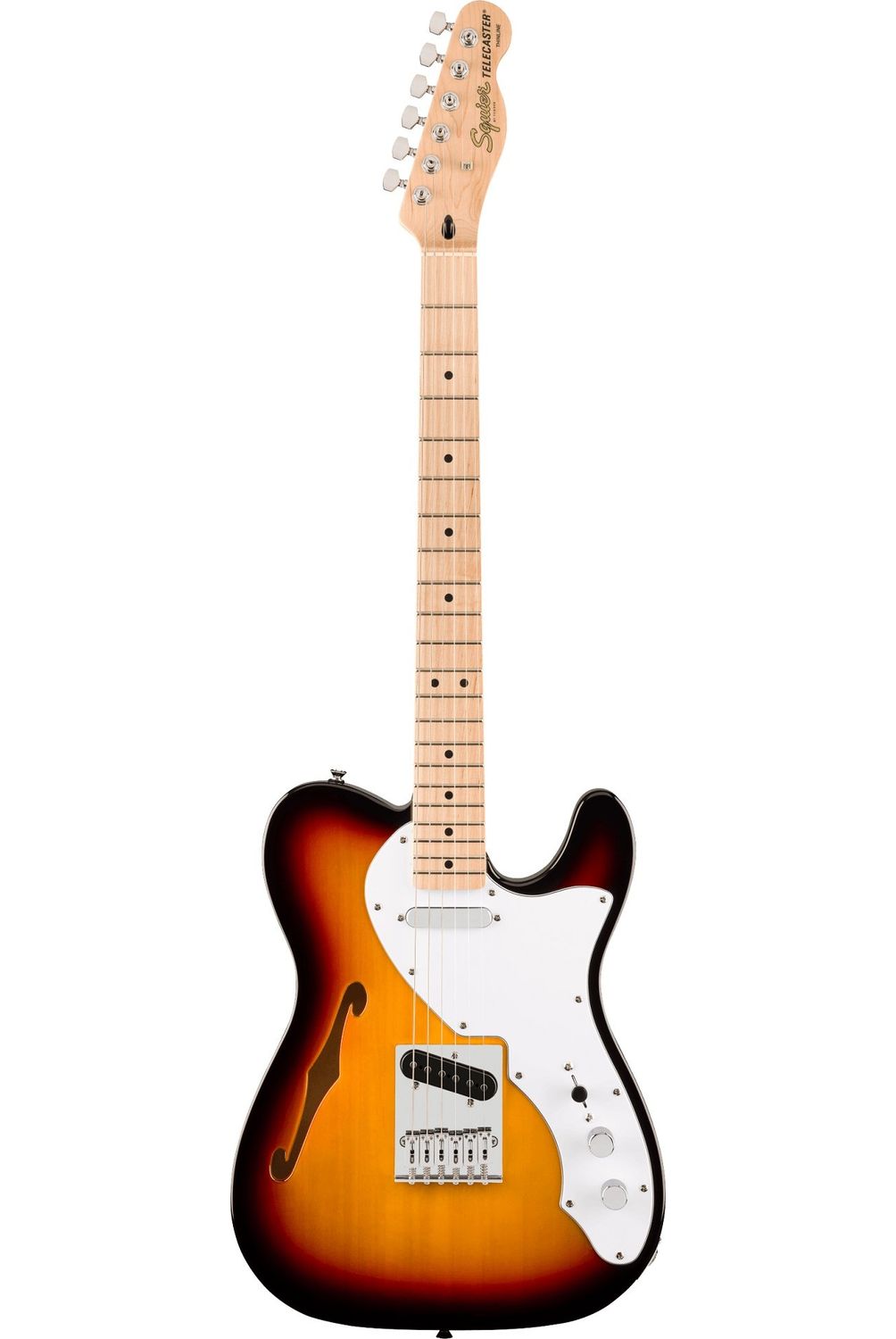 SQUIER Guitarra Eléctrica Squier Telecaster Affinity Thinline