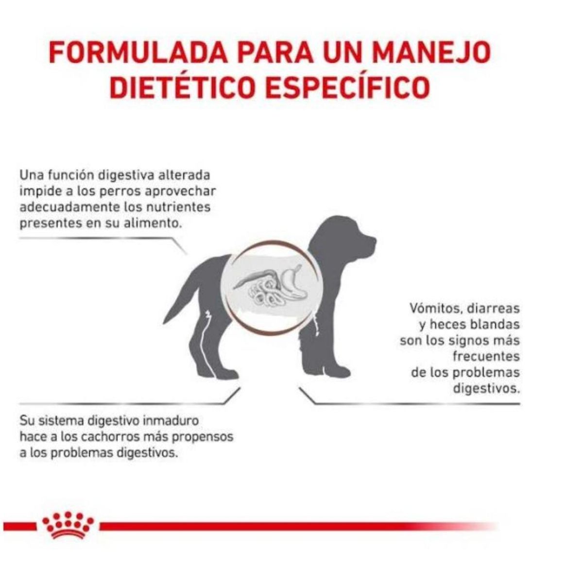 ROYAL CANIN - Alimento Royal Canin Gastrointestinal Canine Puppy 1kg