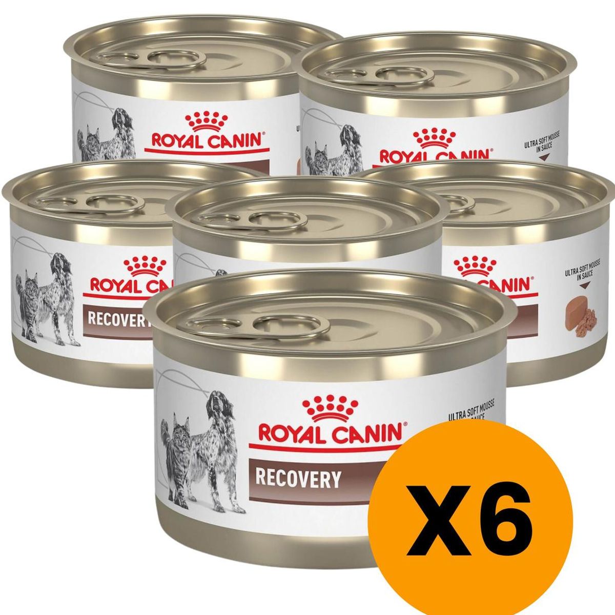 ROYAL CANIN - Royal Canin Recovery Lata 145g - Pack 6 Latas