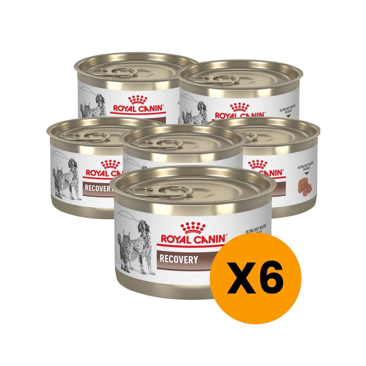 ROYAL CANIN - Royal Canin Recovery Lata 145g - Pack 6 Latas