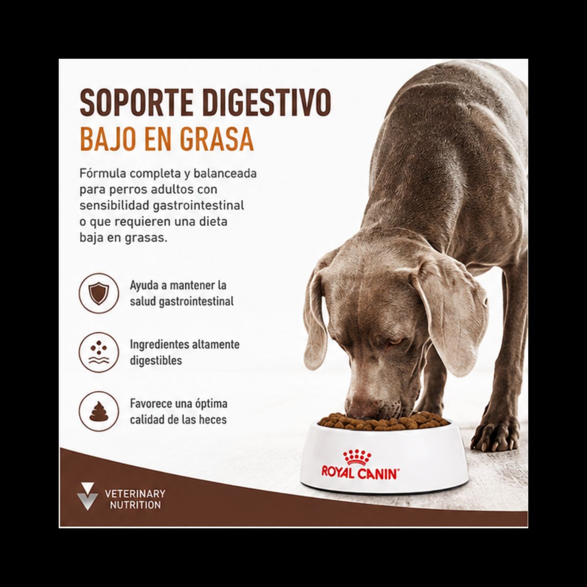 ROYAL CANIN - Royal Canin Gastrointestinal Low Fat 1.5kg
