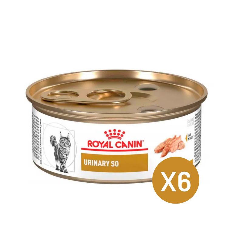 Urinary S/o Gatos Lata 145gr - Pack 6 Latas