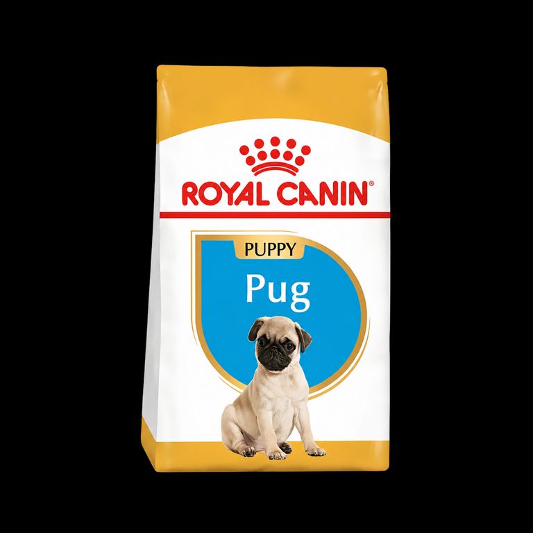 Pug Puppy 2,5 kg