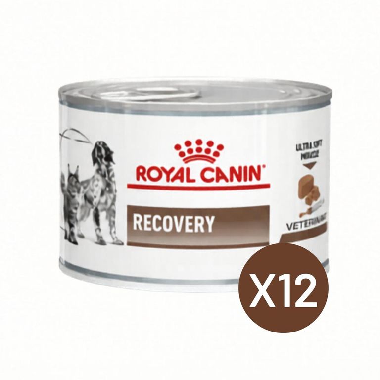 Recovery 145g Perro Gato Pack 12 Latas