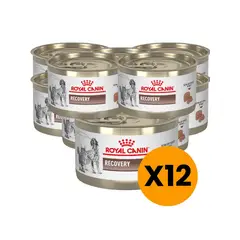 ROYAL CANIN - Alimento Recovery lata 145g - Pack X12