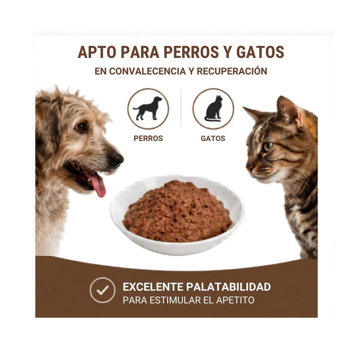 ROYAL CANIN - Royal Canin Recovery Lata 145g - Pack 12 Latas