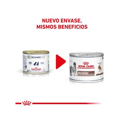 Imagen 2 del producto Recovery Lata 145g - Pack 12 Latas