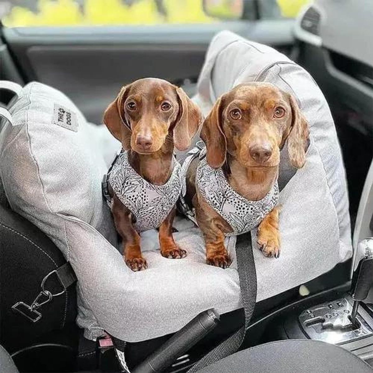 GENERICO - Asiento de auto para perro pequeño premium lavable gris