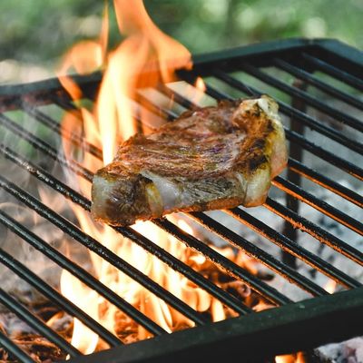 Imagen 2 del producto Parrilla Quincho 60x40 cm