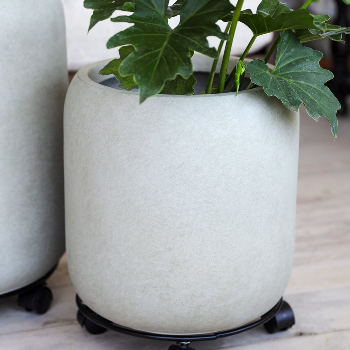 Soporte/Transportador de Plantas 30 cms Plantme, marca PLANT ME - Foto 2