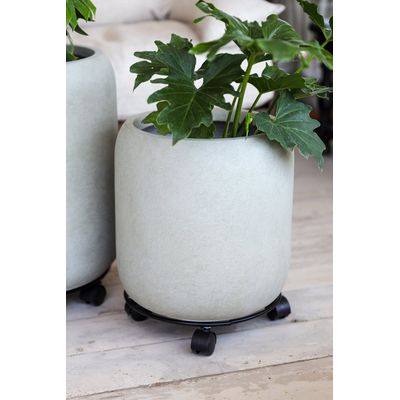 Imagen 2 del producto Soporte/Transportador de Plantas 30 cms Plantme