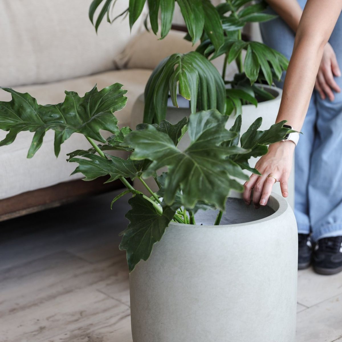 PLANT ME - Soporte/Transportador de Plantas 40 cms Plantme