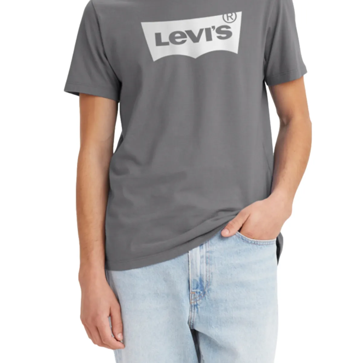LEVIS - Polera Hombre Graphic Crewneck Tee Gris Levis