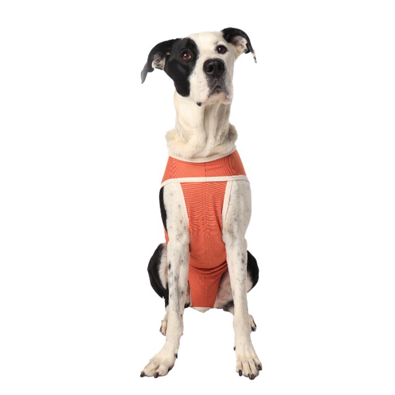 KIMBAVET - Body Cobre Kimba Tradicional - Talla 13 (40 - 45) Kg