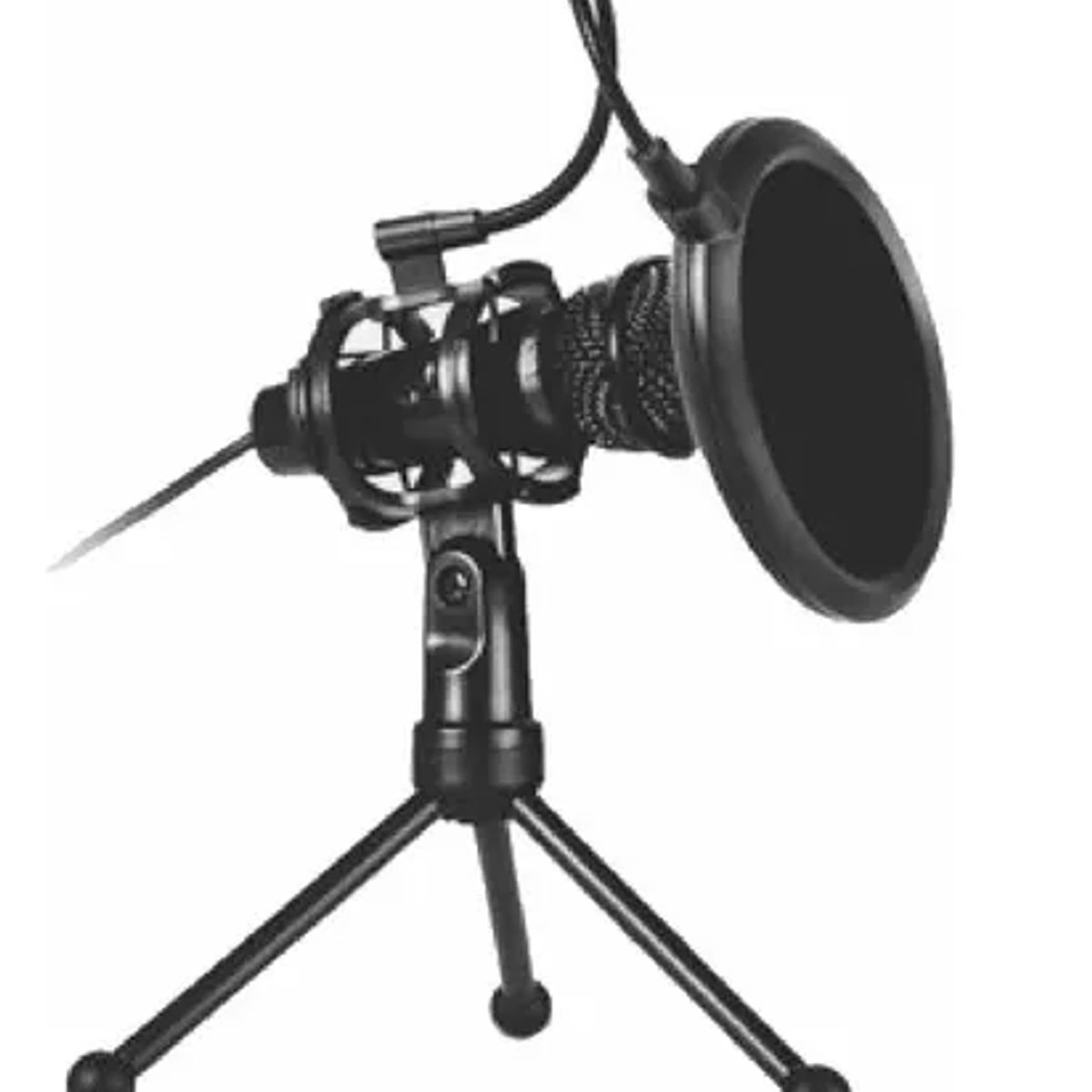 GENERICO - Micrófono Condensador Ezra Mp03 Filtro Trípode Aux 35mm