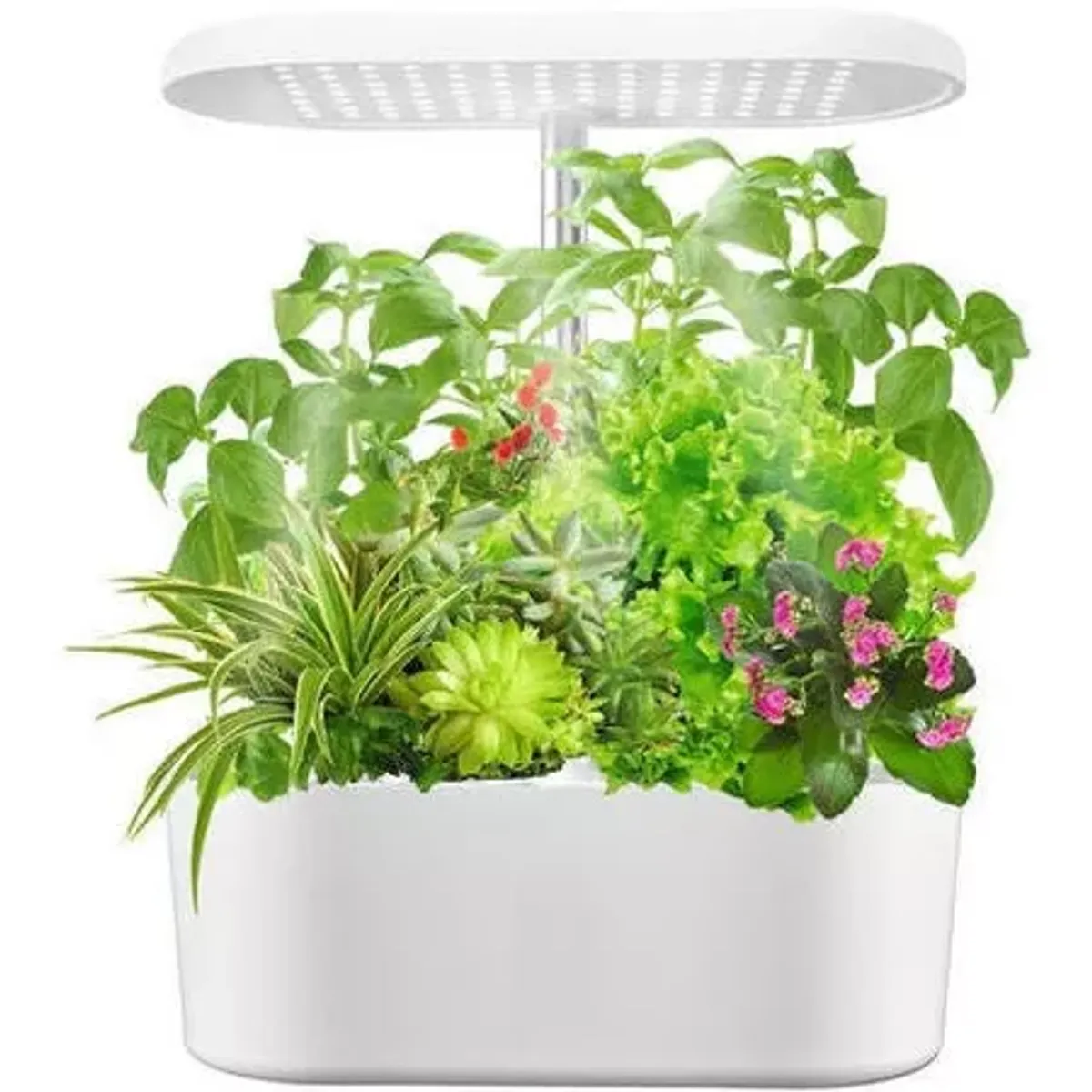 GENERICO - Sistema De Cultivo Hidropónico Para Interiores