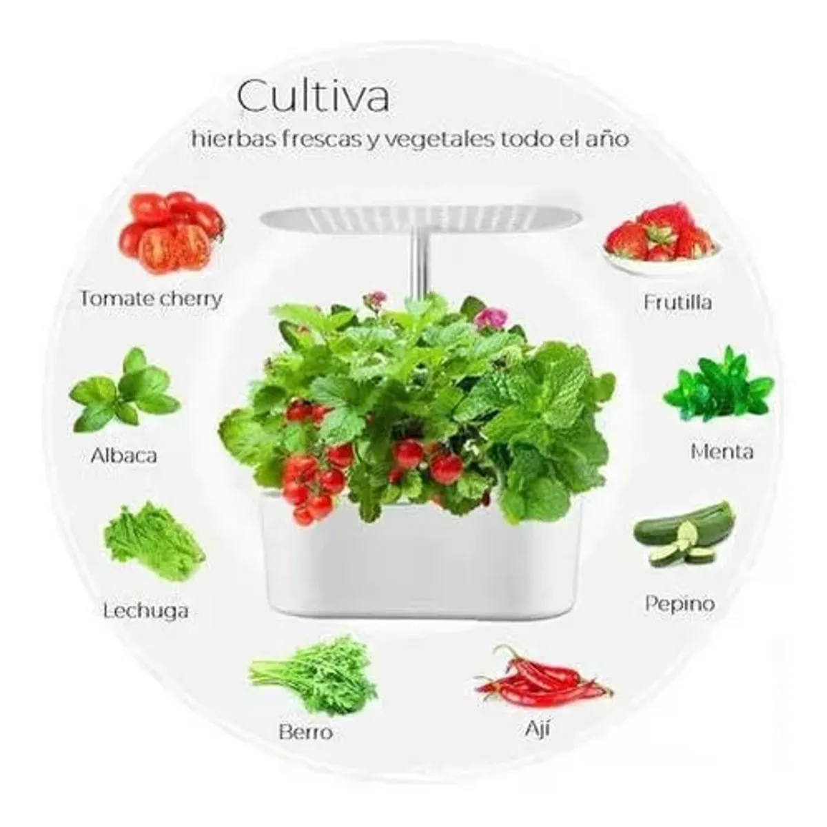 GENERICO - Sistema De Cultivo Hidropónico Para Interiores
