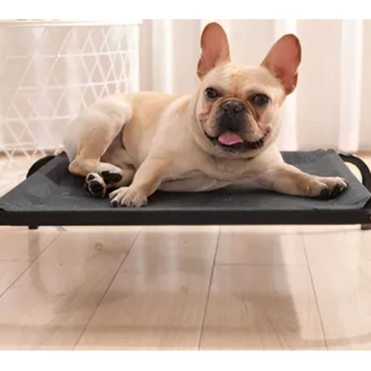 GENERICO - Cama Elevada Para Perro Camas Tus Mascotas Antiestres Perros