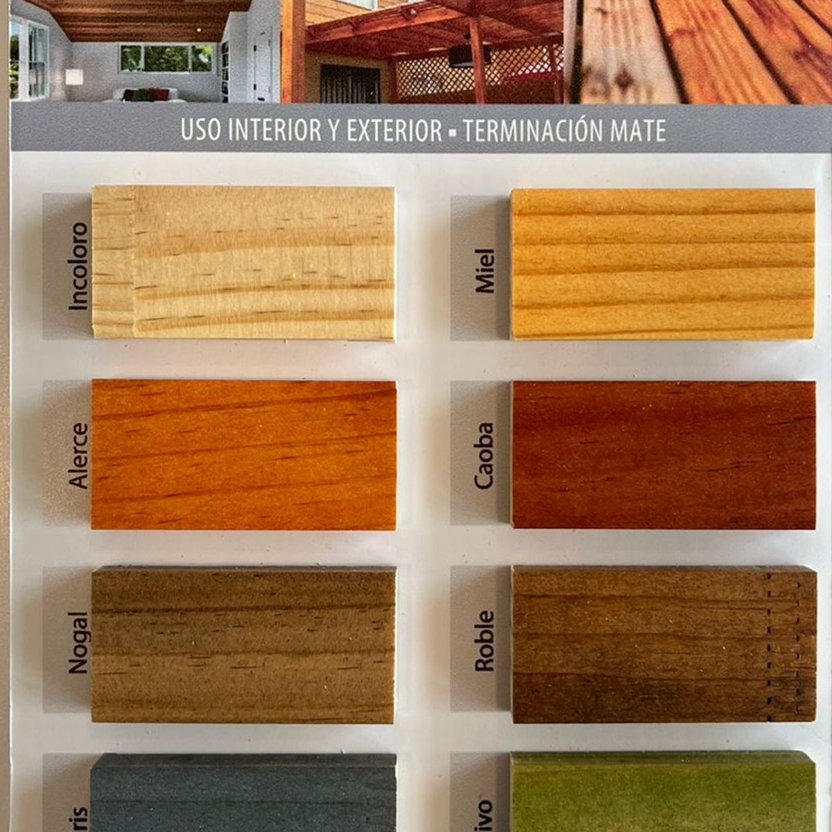 PASSOL - Impregnante Stain Negro Passol 1 gl