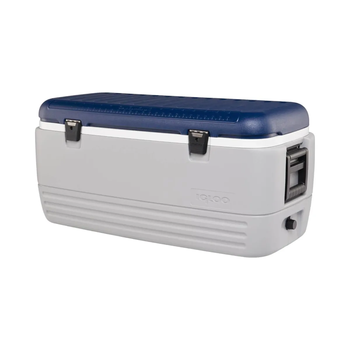 IGLOO - Cooler Nevera Hielera MaxCold Gris 113 Litros Azul Igloo