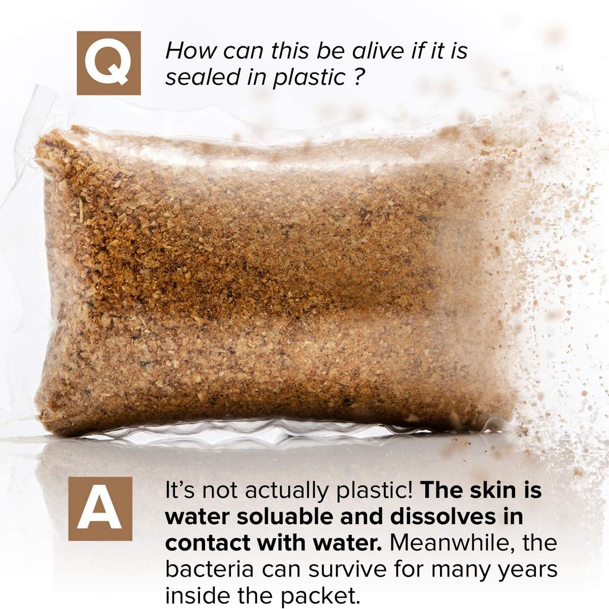 GENERICO - Bacterias Tratamiento Biológico Inodoro Pozos Fosas Sépticas