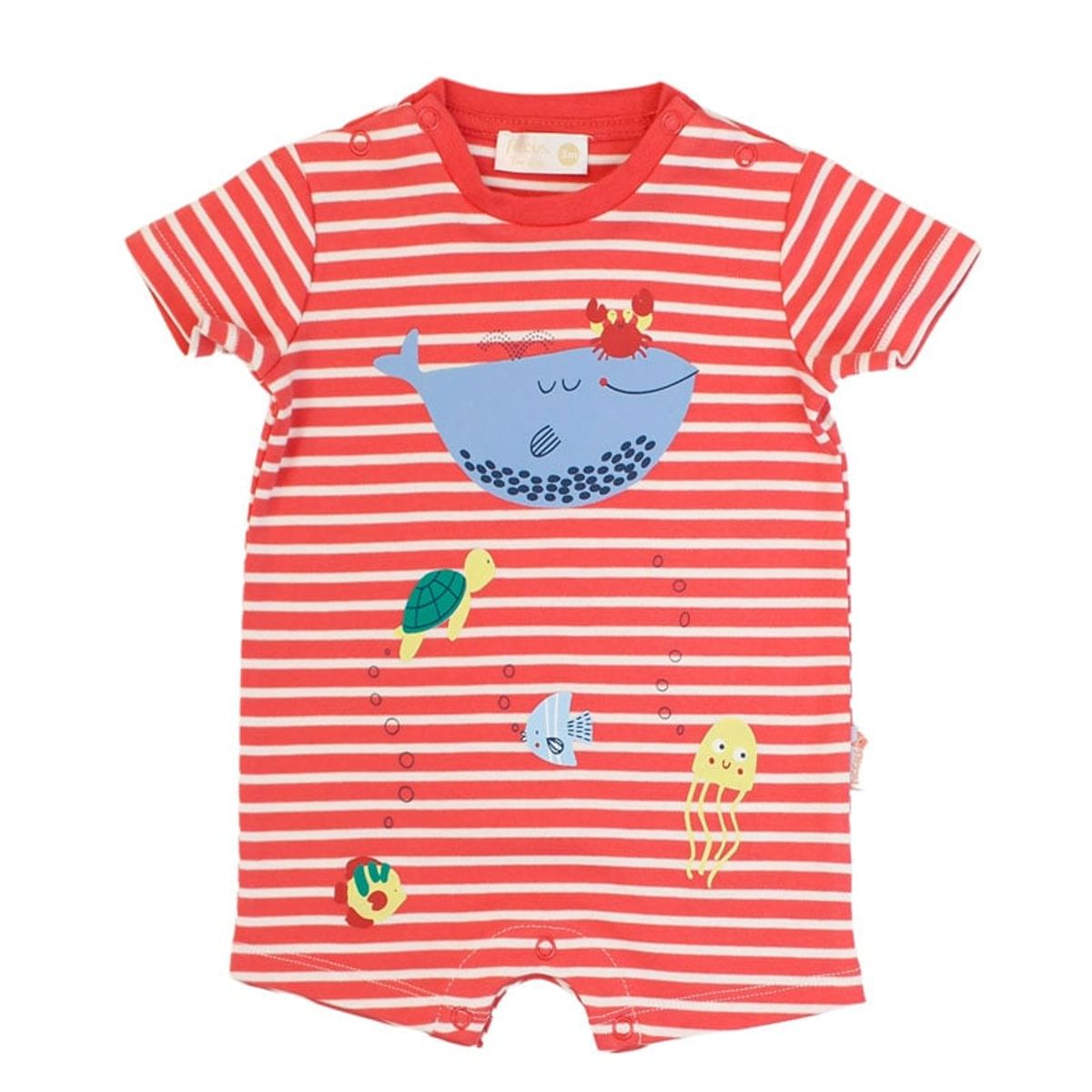 FICCUS - Enterito New Born Niño Sunrise Rojo