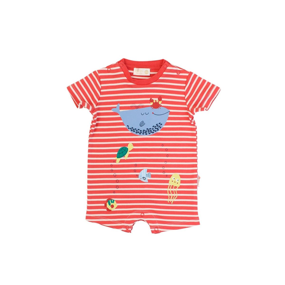 FICCUS - Enterito New Born Niño Sunrise Rojo