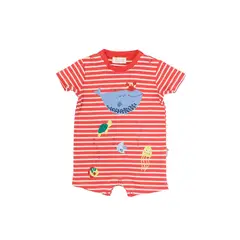 FICCUS - Enterito New Born Niño Sunrise Rojo