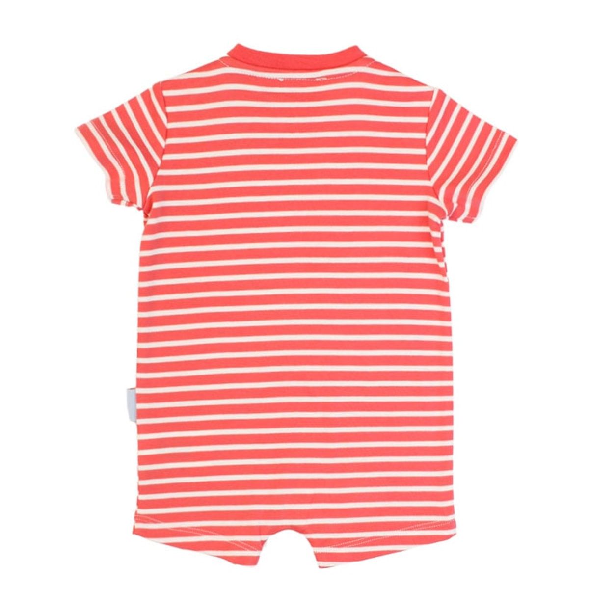 FICCUS - Enterito New Born Niño Sunrise Rojo