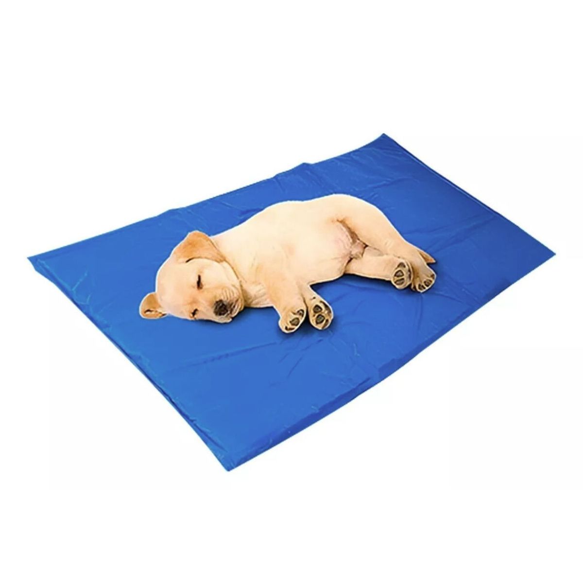 GENERICO - Manta Refrescante Talla M Pet Cool Mat Mascotas Gatos Perro