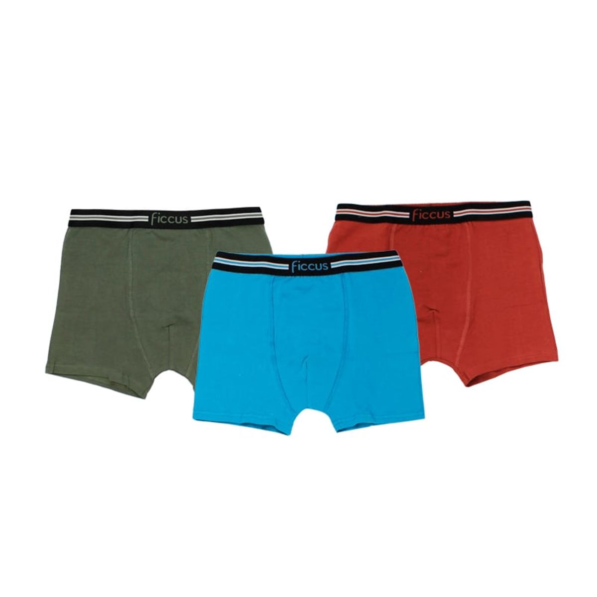 FICCUS - Boxer Kids Niño Ri Multicolor
