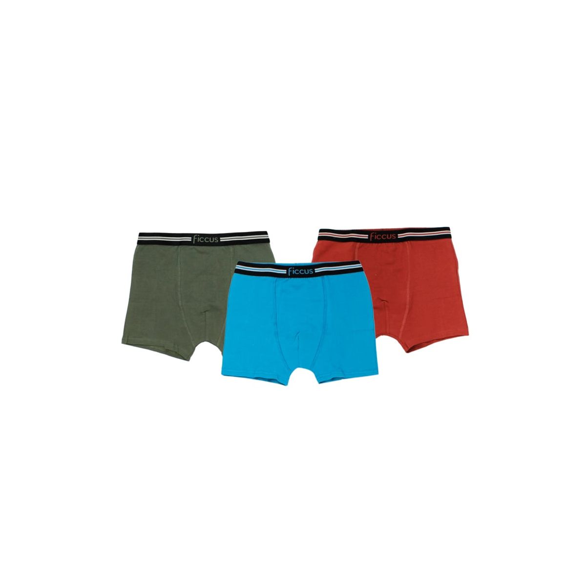 FICCUS - Boxer Kids Niño Ri Multicolor