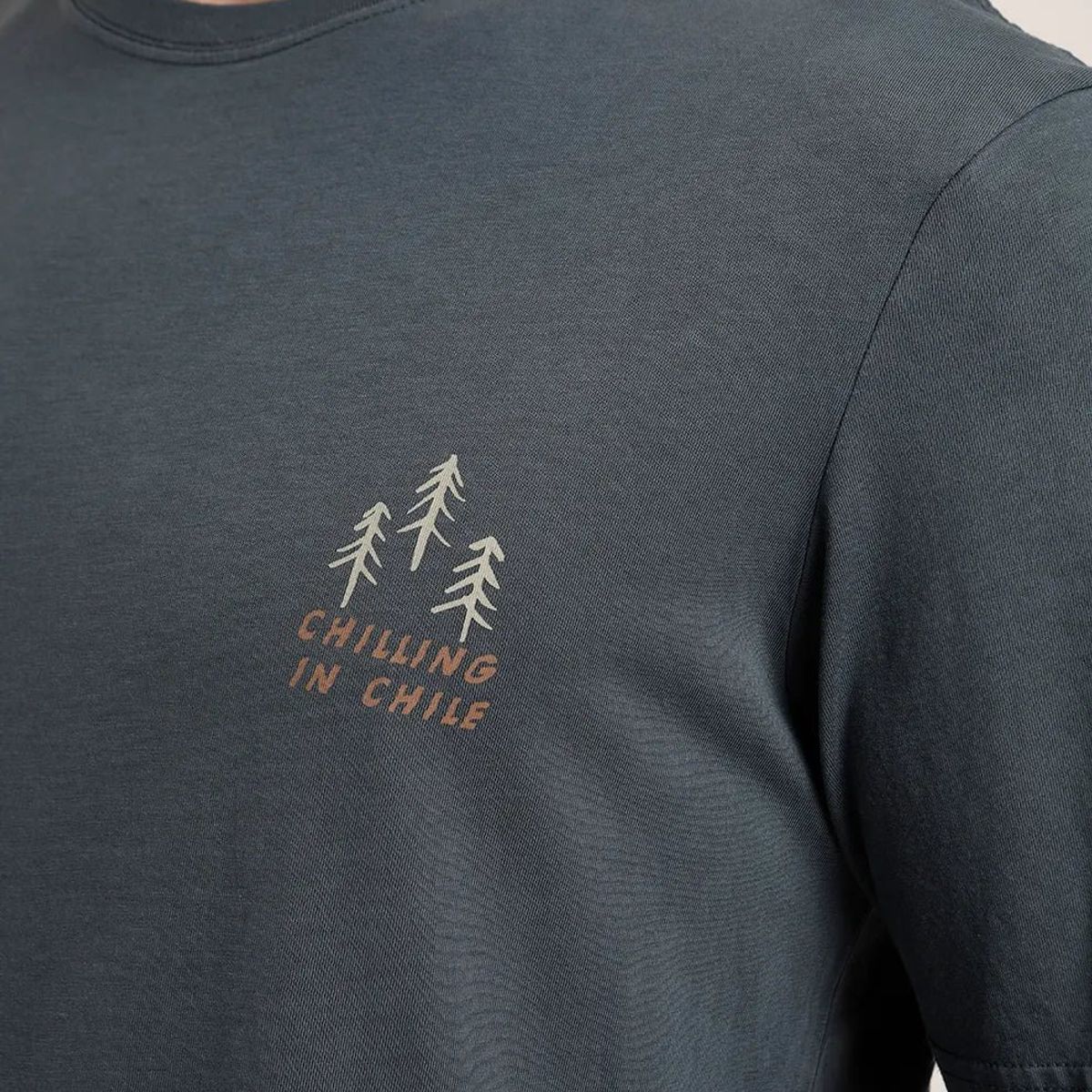 FROENS - Polera Manga Corta Hombre Chilling Azul Froens