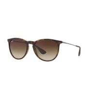 Ray-Ban Erika RB4171L 865/13 54