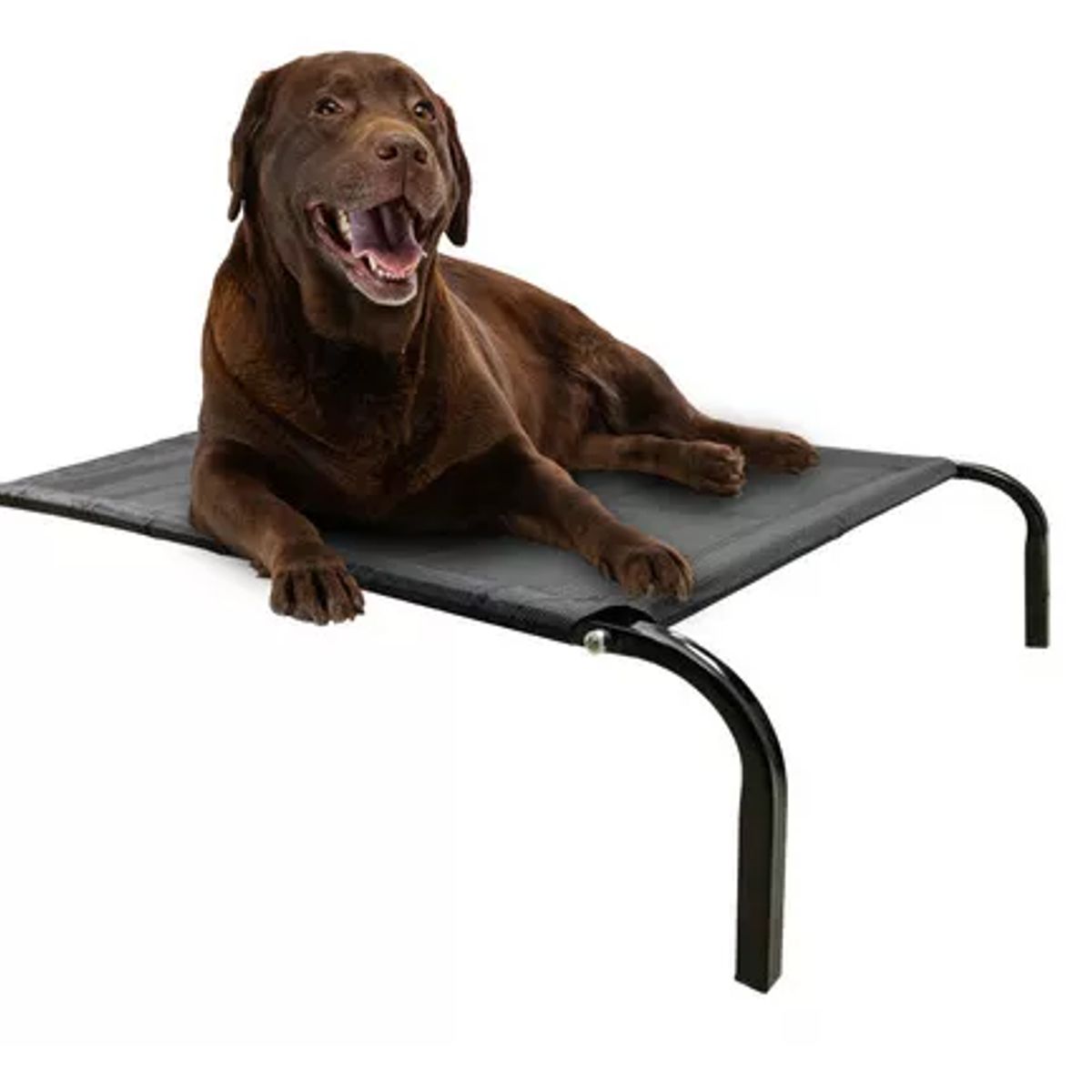 GENERICO - Cama Elevada Altura Para Mascota Perro Gato