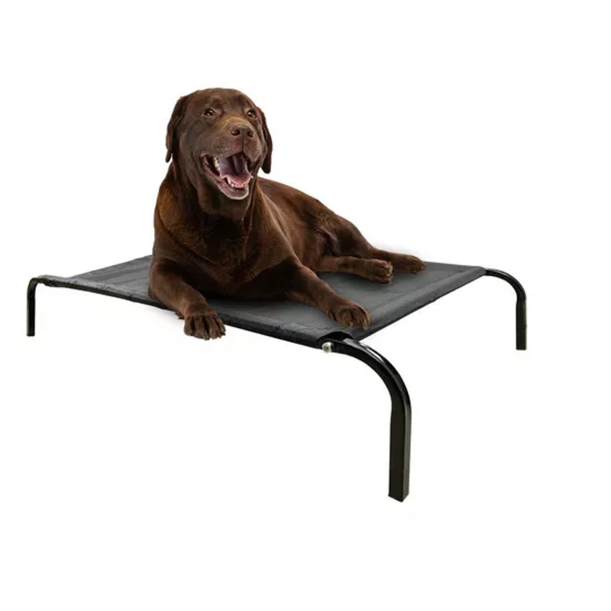 GENERICO - Cama Elevada Altura Para Mascota Perro Gato