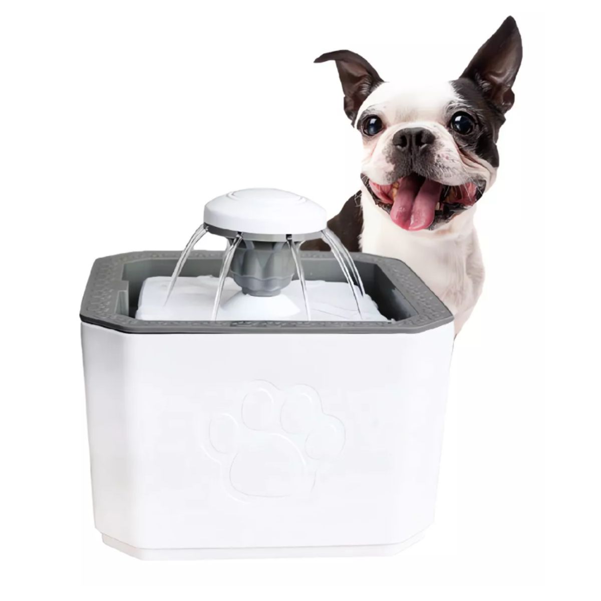 GENERICO - Bebedero Gatos Fuente Agua Perros Dispensador Agua Mascotas