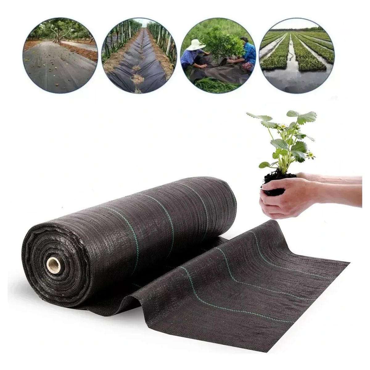 KUANGYE - Malla Antihierbastela Geotextil Control De Maleza150cmx10m