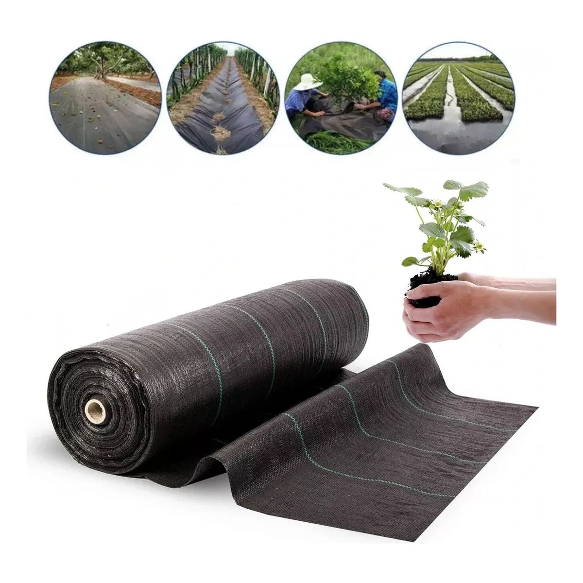 KUANGYE - Malla Antihierbastela Geotextil Control De Maleza150cmx10m