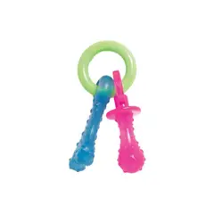 NYLABONE - JUGUETE NYLON PUPPY CHEW DENTICIÃ?N TALLA S