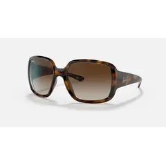 RAY BAN - Lentes de Sol Classic RB4347 Habana/Degrade marrón 60-18
