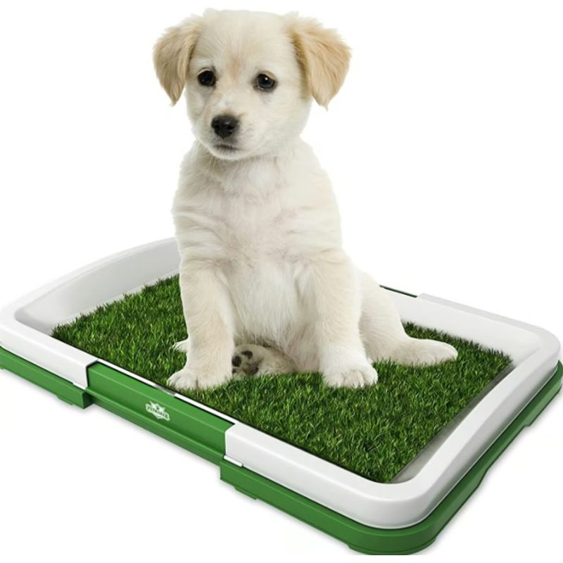 GENERICO - Baño Ecológico Perro Baño Mascotas Baño Ecológico